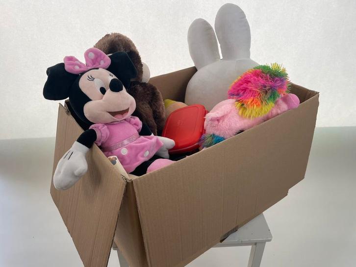 Grote partij knuffels – 4 dozen vol! Schoon & in topstaat!, Enfants & Bébés, Jouets | Peluches, Comme neuf, Ours, Enlèvement