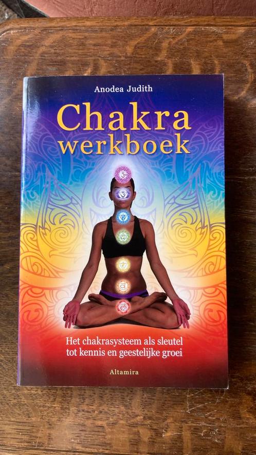 Chakra werkboek - Judith Anodea, Livres, Ésotérisme & Spiritualité, Neuf, Enlèvement ou Envoi