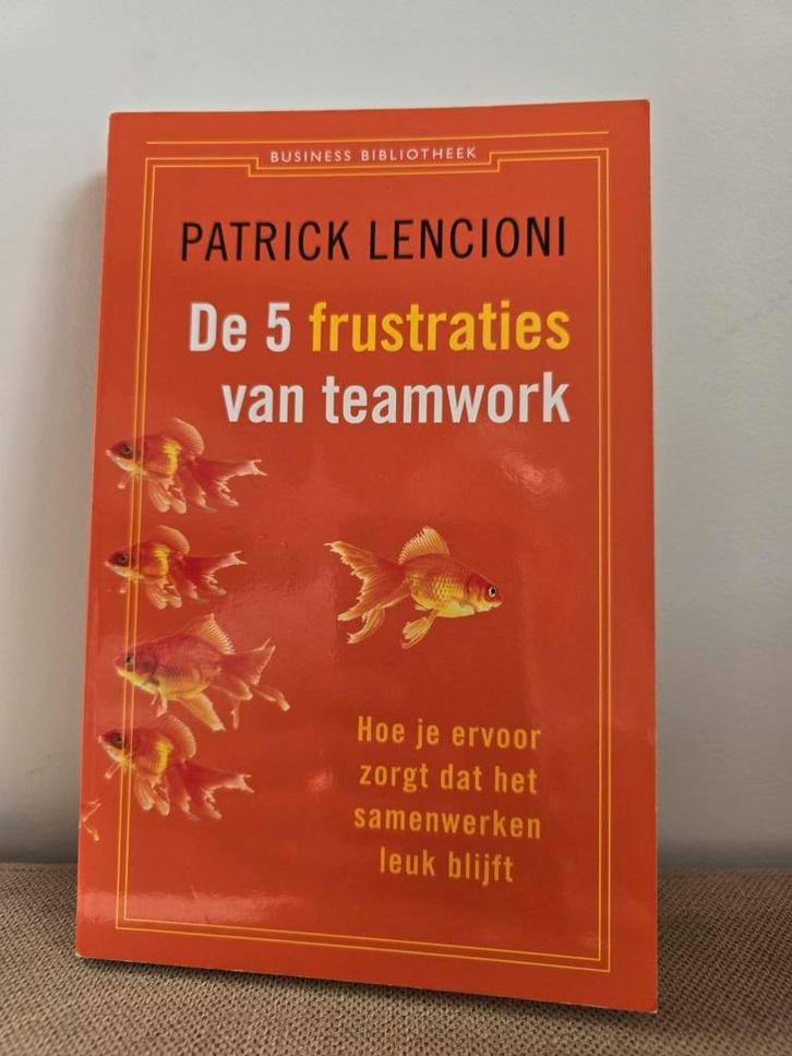 Patrick Lencioni - De 5 frustraties van teamwork, Boeken, Wetenschap, Zo goed als nieuw, Ophalen