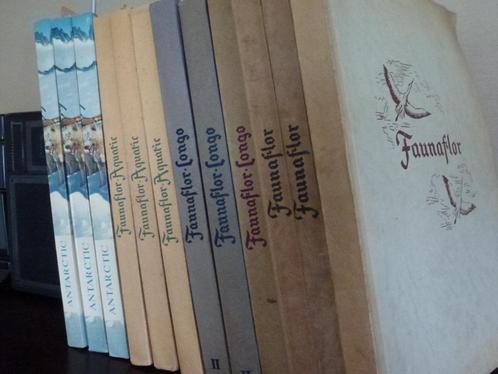 Cote d'Or albums, Boeken, Prentenboeken en Plaatjesalbums, Zo goed als nieuw, Ophalen of Verzenden