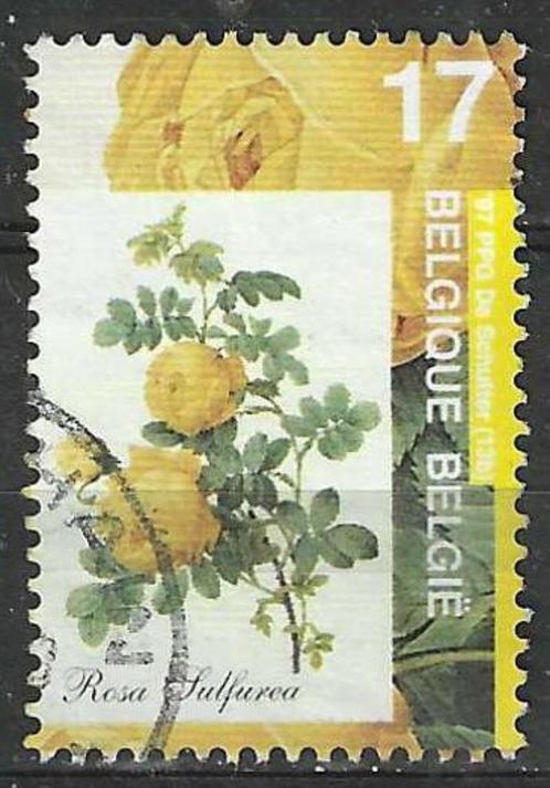 Belgie 1997 - Yvert 2710 /OBP 2709 - Flora - Rozen  (ST), Timbres & Monnaies, Timbres | Europe | Belgique, Affranchi, Envoi