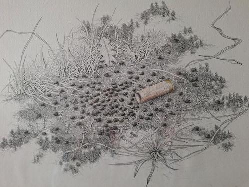 KOOPJE Ets Achilles Cools "Bloedsporen" 14/50, Antiek en Kunst, Kunst | Etsen en Gravures, Ophalen