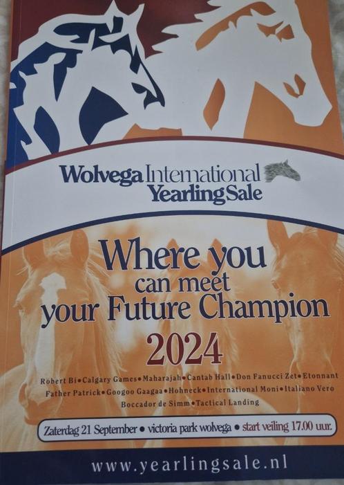 Wolvega International Yearling Sale Trotters 2024, Animaux & Accessoires, Chevaux