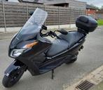 Honda Forza NSS300, 1 cylindre, 12 à 35 kW, Scooter, Particulier