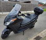 Honda Forza NSS300, Scooter, 12 t/m 35 kW, Particulier, 300 cc