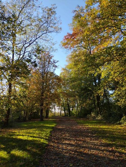 caravane Eriba Swing avec auvent, Caravans en Kamperen, Overige Caravans en Kamperen, Gebruikt, Ophalen