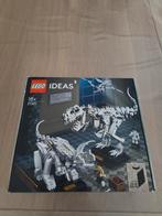 Lego, ideas "21320", Kinderen en Baby's, Speelgoed | Duplo en Lego, Ophalen, Zo goed als nieuw, Lego