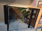 Paludarium, Dieren en Toebehoren, Ophalen, Zo goed als nieuw, Terrarium of Paludarium