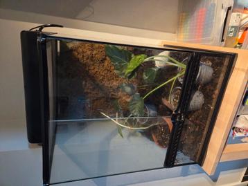Paludarium, Enlèvement, Comme neuf, Terrarium ou Paludarium