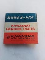 Kawasaki segmenten 454 13008-1053 NOS, Motoren