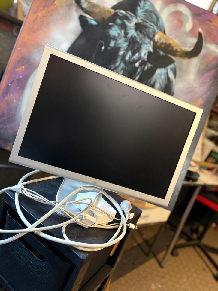 Apple Cinema Display A1081, Computers en Software, Monitoren, Gebruikt, DVI, Gaming, 5 ms of meer, Ophalen