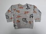 Mt 98 Grijze sweater beren, vossen, egels, wasberen, Kinderen en Baby's, Kinderkleding | Maat 98, Trui of Vest, Ophalen of Verzenden