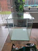 Aquarium met toebehoren, Ophalen, Zo goed als nieuw, Gevuld zoetwateraquarium