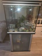 Aquarium 65x65x65, Ophalen, Leeg aquarium