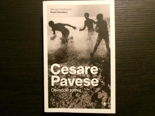De mooie zomer  -Cesare Pavese-, Boeken, Literatuur, België, Ophalen of Verzenden
