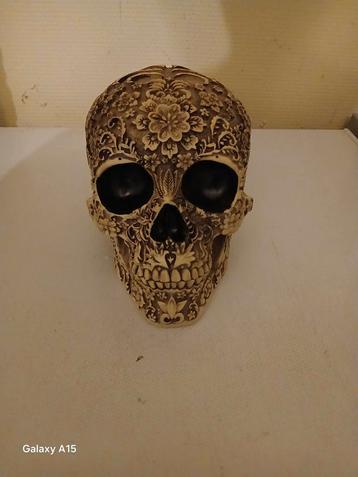 Versierde skull op ware grote beschikbaar voor biedingen