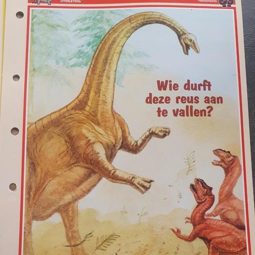 Complete reeks van 60 dinobladen, Verzamelen, Foto's en Prenten, Zo goed als nieuw, Prent, Dier, 1980 tot heden, Ophalen