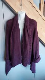 gilet asymétrique taille 3, Kleding | Dames, Truien en Vesten, Ophalen of Verzenden, Gedragen