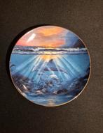 Dance of the dolphin - Delmary Dennis, Ophalen
