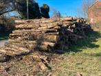 Brandhout - RM Firewood, Tuin en Terras, Brandhout, 6 m³ of meer, Ophalen of Verzenden, Beukenhout, Blokken