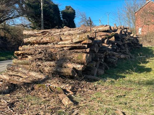 Brandhout - RM Firewood, Tuin en Terras, Brandhout, Blokken, Beukenhout, 6 m³ of meer, Ophalen of Verzenden