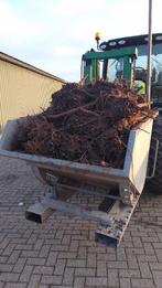 Rabarber planten stekken pollen Frambozen Rood, Tuin en Terras, Volle zon, Minder dan 100 cm, Ophalen, Zomer