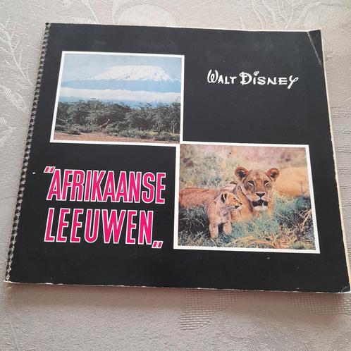 Prentenboek "Afrikaanse Leeuwen"  Walt Disney. Volledig., Boeken, Prentenboeken en Plaatjesalbums, Prentenboek, Ophalen