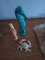 Zee paardtjes en crab, Ophalen