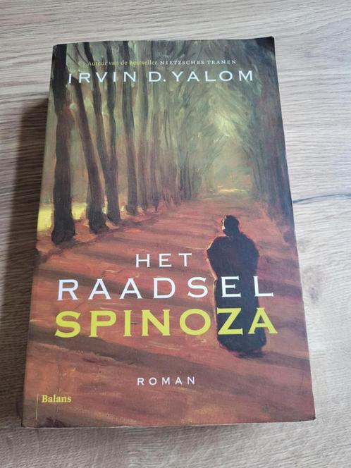 Boek : het raadsel spinoza /  Irvin D. Yalom, Boeken, Romans, Zo goed als nieuw, Ophalen of Verzenden