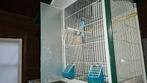 Cage à oiseaux double, Animaux & Accessoires, Enlèvement, Comme neuf, Métal, Cage à oiseaux