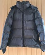 Zwarte pufferjas heren - nieuw, Ophalen of Verzenden, Nieuw, Maat 48/50 (M), Zwart