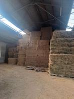 Hooi stro grote en kleine balen, Ophalen of Verzenden