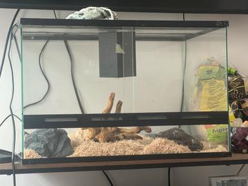  Terrarium set – zo goed als nieuw en compleet! beschikbaar voor biedingen