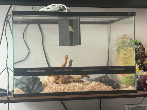 Terrarium set – zo goed als nieuw en compleet!, Dieren en Toebehoren, Reptielen en Amfibieën | Toebehoren, Nieuw, Terrarium of Paludarium