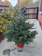 Kerstboom Nordmann 160-170, Ophalen