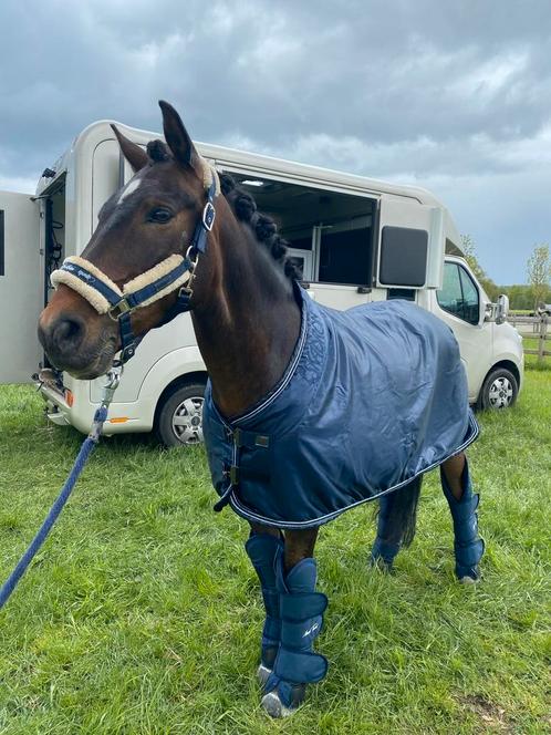 Eskadron showdeken, Dieren en Toebehoren, Paarden en Pony's | Dekens en Dekjes, Zo goed als nieuw, Deken, Ophalen of Verzenden