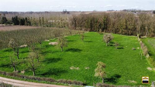 TE KOOP: Landbouwgrond te Borgloon, Immo, Gronden en Bouwgronden, 1500 m² of meer