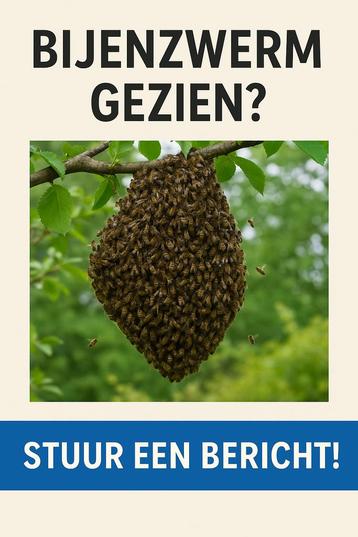 Bijen, Bijenzwerm gespot? Stuur een bericht! beschikbaar voor biedingen