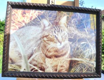 cadre tour bois sculpté avec photo de chat  beschikbaar voor biedingen