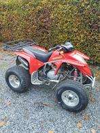 Quad Suzuki Extreme 300 cc, Motoren, 300 cc, 1 cilinder, 12 t/m 35 kW