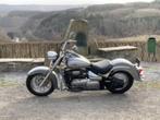 intruder 800C, 2 cilinders, Chopper, Particulier, Meer dan 35 kW