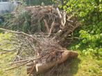 Gratis hout, Ophalen of Verzenden