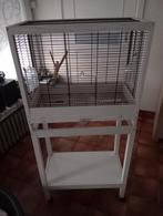 Vogelkooi, Dieren en Toebehoren, Vogels | Hokken en Kooien, Ophalen, Vogelkooi