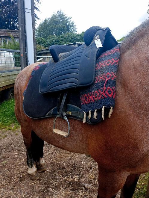 Spaans zadel, Dieren en Toebehoren, Paarden en Pony's | Zadels, Gebruikt, Recreatie, Ophalen