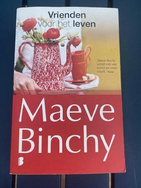 Maeve Binchy roman:  Vrienden voor het leven perfecte staat, Livres, Romans, Comme neuf, Enlèvement ou Envoi