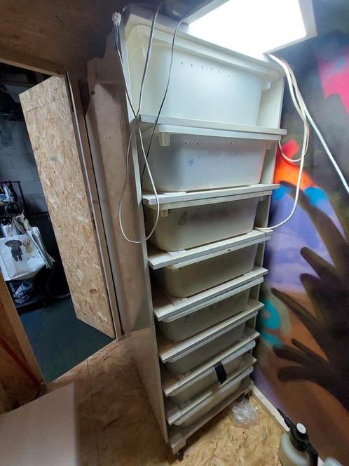 Koopje rack met 8 bakken en dag/nacht thermostaat, Dieren en Toebehoren, Reptielen en Amfibieën | Toebehoren, Gebruikt, Ophalen