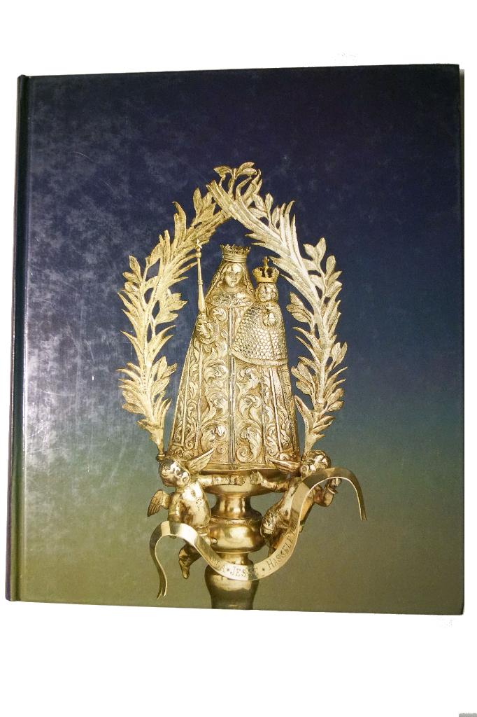 Virga Jesse, de Schat van de Hasselaar - G. Verbeek, Livres, Religion & Théologie, Comme neuf, Christianisme | Catholique, Enlèvement ou Envoi