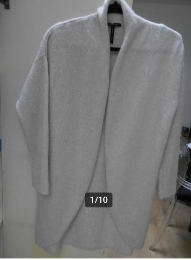 Sarah Pacini, Kleding | Dames, Truien en Vesten, Zo goed als nieuw, Ophalen of Verzenden