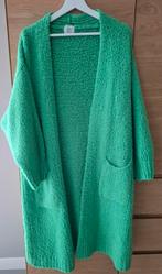 Vest Terra di Siena, Kleding | Dames, Truien en Vesten, Ophalen, Nieuw, Groen
