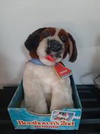 Beethoven Saint Bernard vintage, Enlèvement